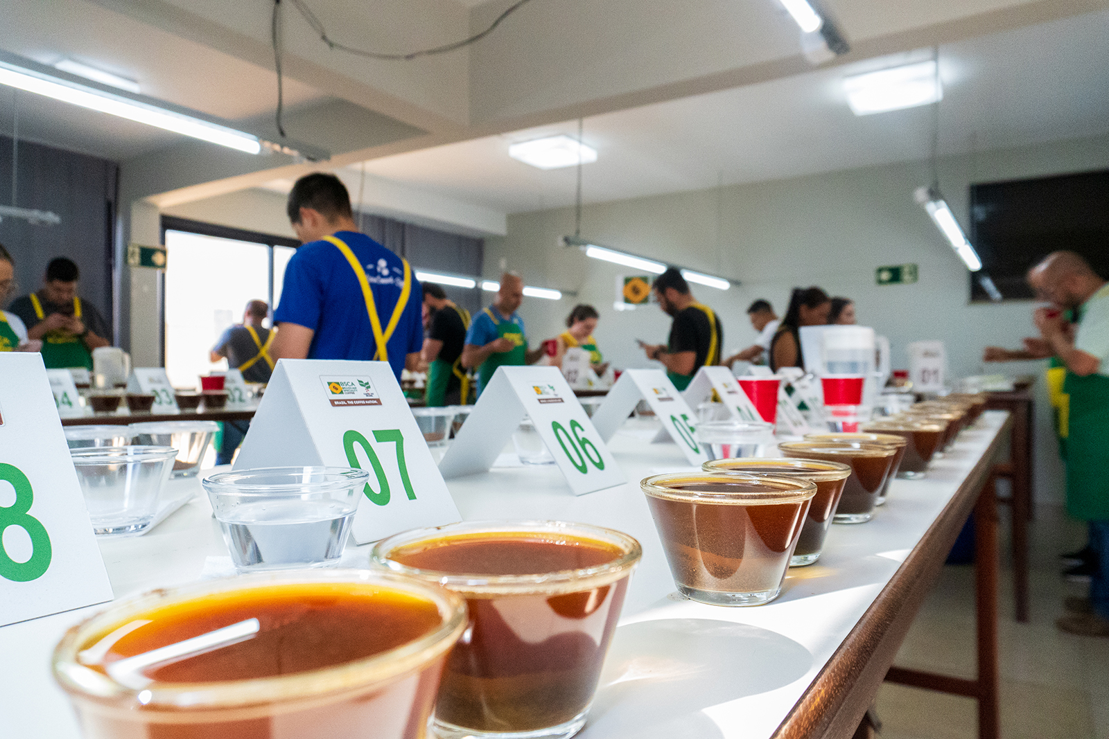 Cup of Excellence